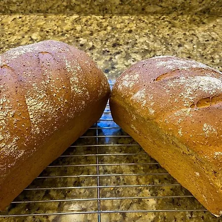 Bed and Breakfast Grove House