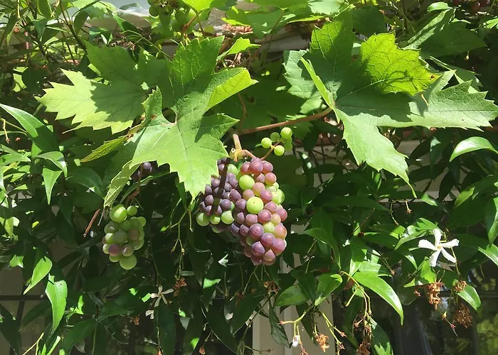 Grove House 4* Γιορκ